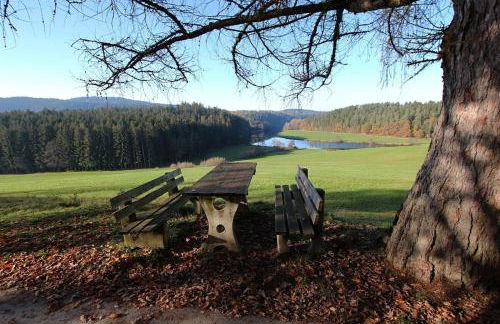Ferienhaus Nr 25, Typ A, Feriendorf Jägerpark, Bayerischer Wald - Foto 21