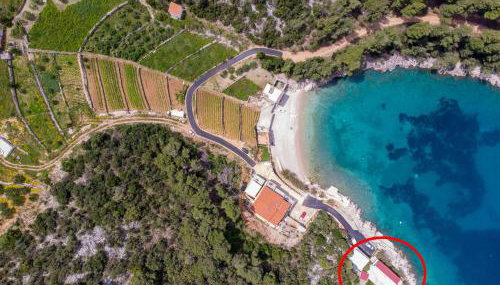 Apartments Jelena - Foto 2