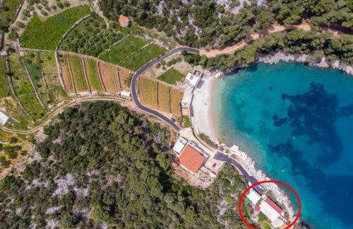 Apartments Jelena - Foto 2