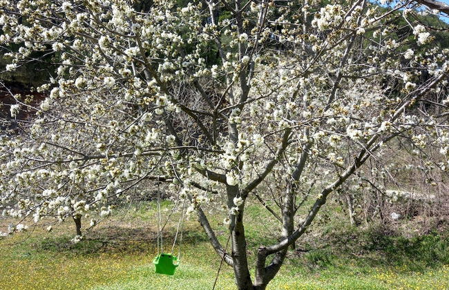 Immaculate 2-bed Cottage Near Krka Waterfalls - Foto 10