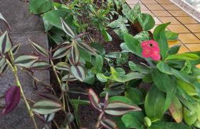 Aconchego com vista para o mar - Foto 43