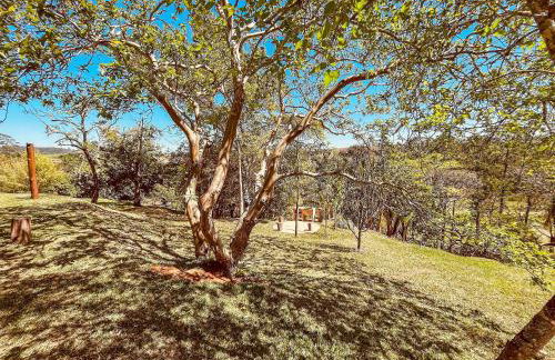 ECO GLAMPING BRASIL Santa Branca SP - Foto 22