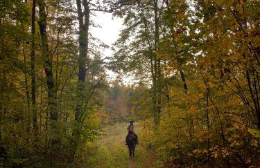 Rancho „Czajone na pigwowcu” - Foto 21