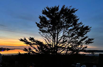 Holly Hayes House - Foto 56