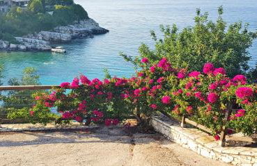 Paxos villas - Photo 8