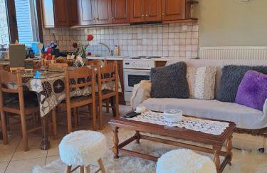 Kontolati's Mountain House - Foto 9