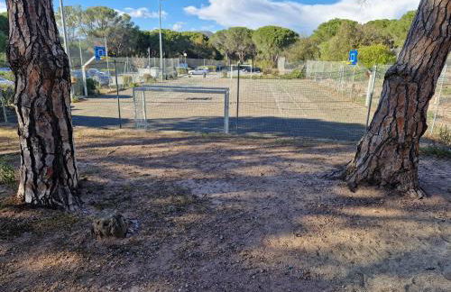 Grand T3 - Terrasse les pieds dans l'eau - Climatisation - Foto 16