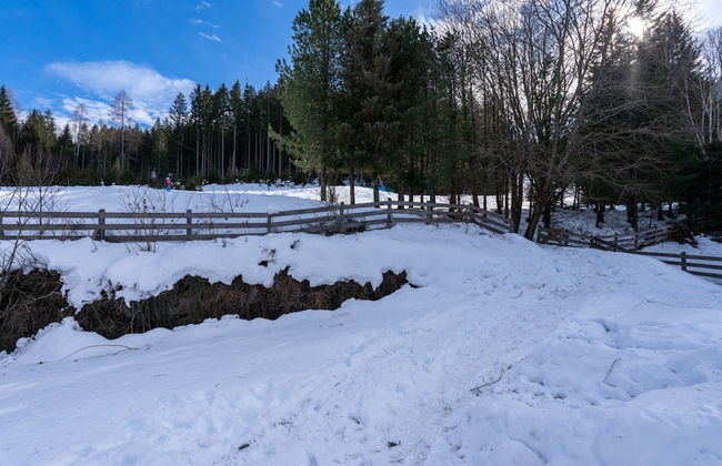 Apartment With Carinthian Mountain View - Photo 34