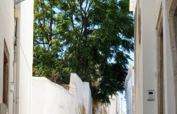 Casa Família Cardoso - Foto 32