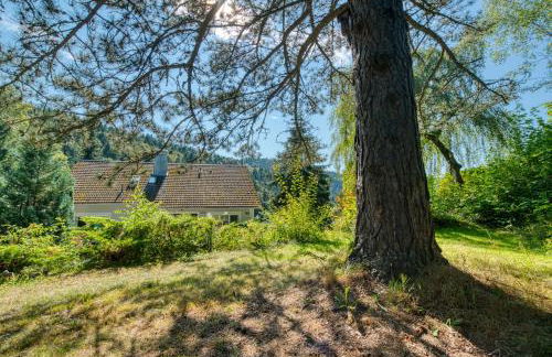 Penthouse mit Aussicht über den Wald - Foto 35