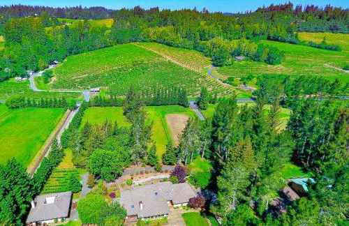 Luxe Villa Estate, Sonoma, Private Creek, Hot Tub, Pool, Bocce - Foto 132