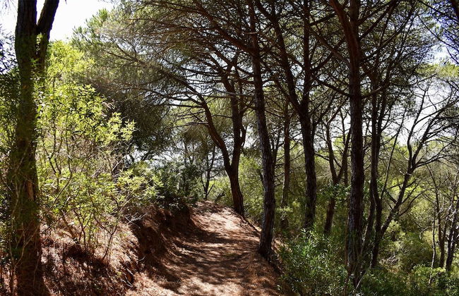 Monte Sardinha - Foto 70