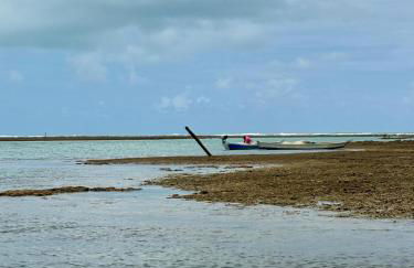 Villa Naluri C103 - Casa Auati - 2 quartos com Vista Mar em Japaratinga - Foto 14