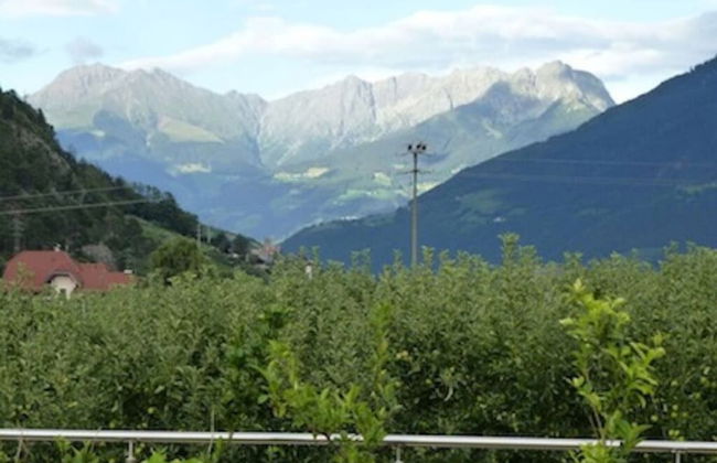 Holiday Apartment Kleinlehenhof - Photo 20