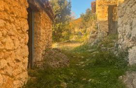 La Fonda de Xiva - Foto 37