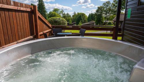 Birch Lodge 20 With Hot Tub, Newton Stewart - Foto 3