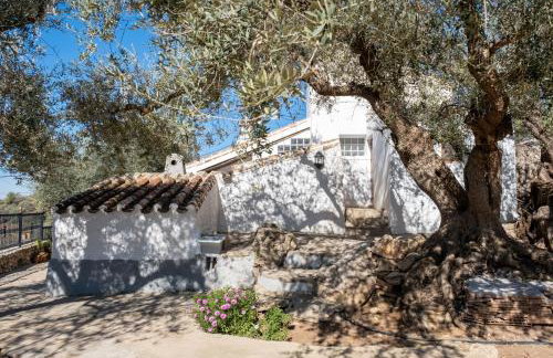 Cortijo Salva - Foto 22