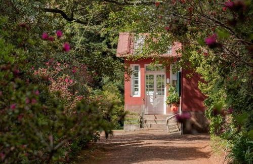 Quinta de Santo António da Serra - Foto 13