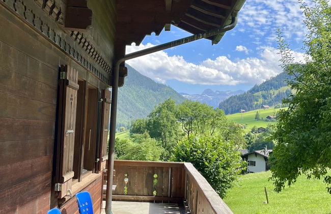 Akelei (gross) - Photo 11