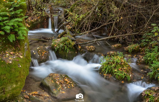 TOTTAM EXPERIENCE - Foto 52