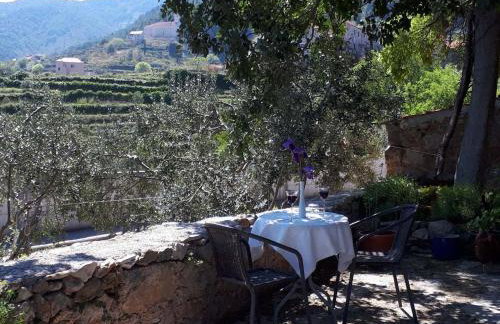 Studio Apartment Mileta - Photo 38