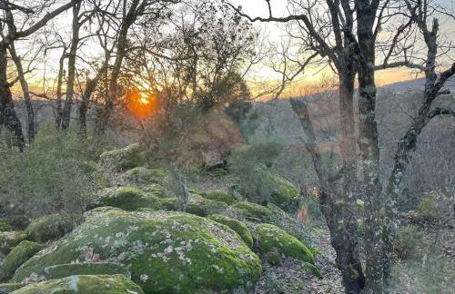 Casa Rural Finca De Musgo - Foto 45