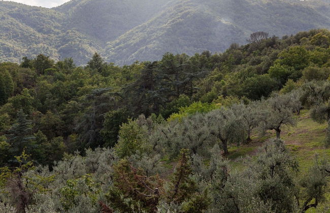 Rustic Getaway in Tuscan Hills - Foto 34