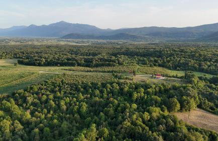 Monte Symphony - Foto 34