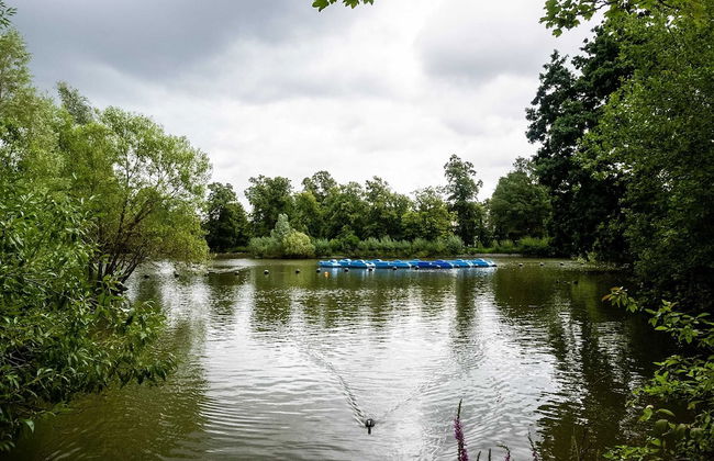 Crystal Palace Residence II - Foto 22