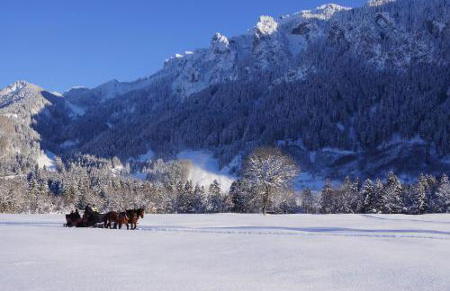 Maximilian Appartements - Foto 49