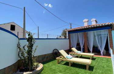 Horta do Monte - Foto 44