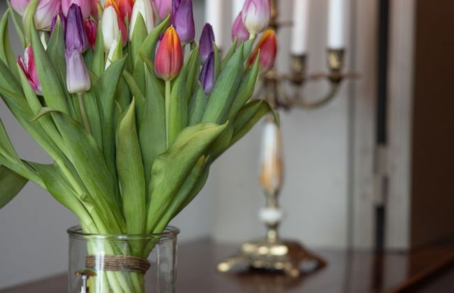 Blanka Boutique lägenhetshotell - Photo 40