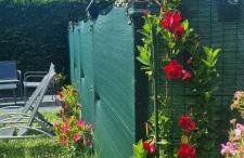 Apartamentos Les Texuques - Foto 29