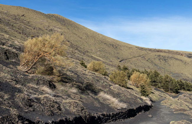 Trekking sull'Etna e alla Valle del Bove - Foto 2