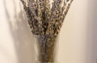 Reetdachkate am Feldrand mit grandiosem Weitblick - Foto 72