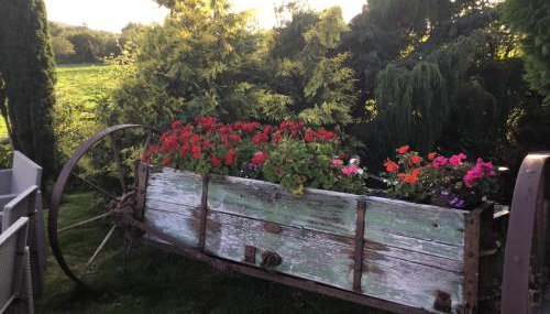 Tyddyn Perthi Farm - Foto 2