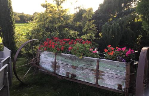 Tyddyn Perthi Farm - Foto 2