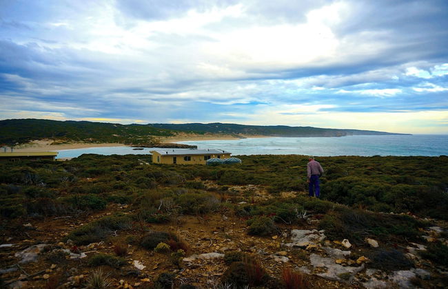 Hanson Bay Wildlife Sanctuary and Cabins - Photo 30