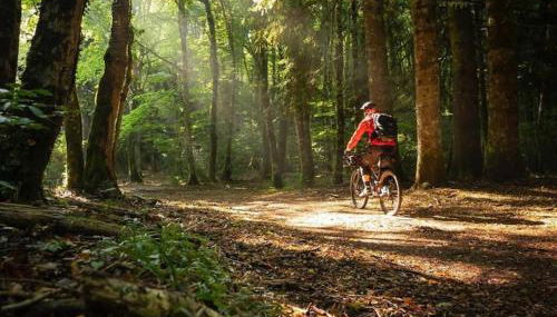 Art House Centro - Gargano - Foto 5