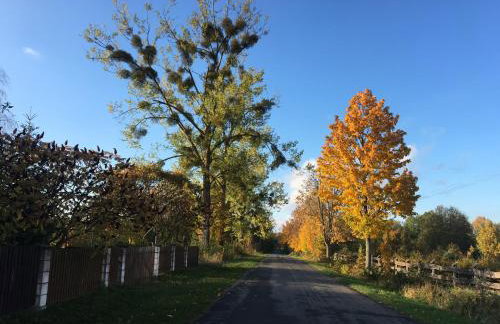 Apartament Hajstra z ogrodem - Foto 26