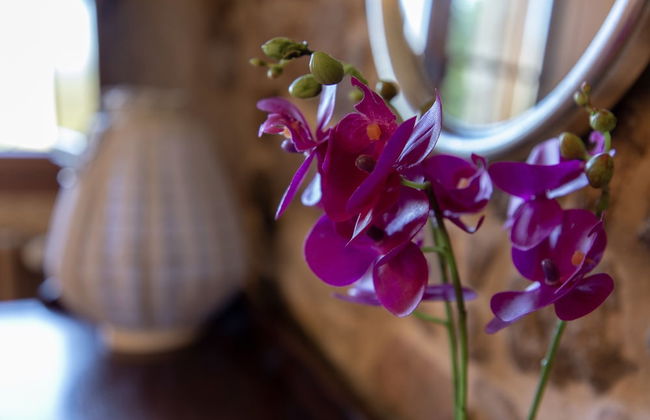 Casa Rural as Bentinas - Foto 29