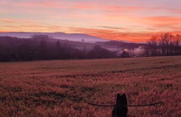 Na końcu dróżki - Foto 9