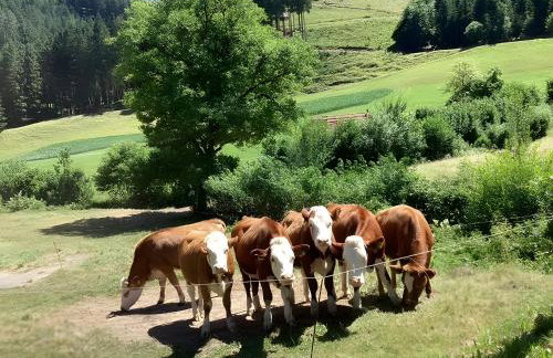 Waldbauernhof - Photo 50