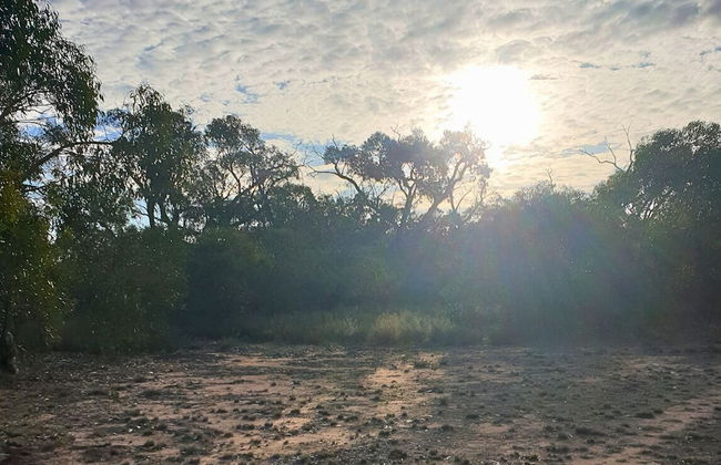 Orchid Lane Cottages - Foto 19