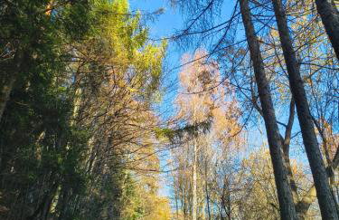 "RYVILLA" Dom na Wilkówce - Foto 31