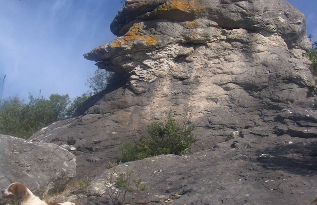 Casa Bi Rosario - Quinta Amoreira - Foto 38