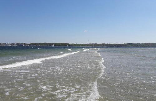 Öko Fewo Silbermöwe - Photo 4