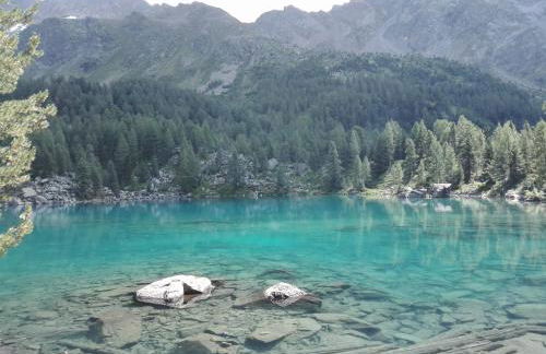 Casa Federica - Foto 37