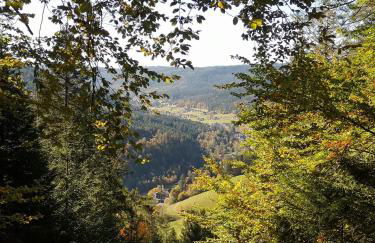 Altes Berghaus - Foto 21