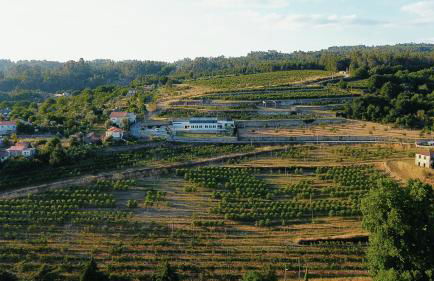 Casa da Escola - Foto 37